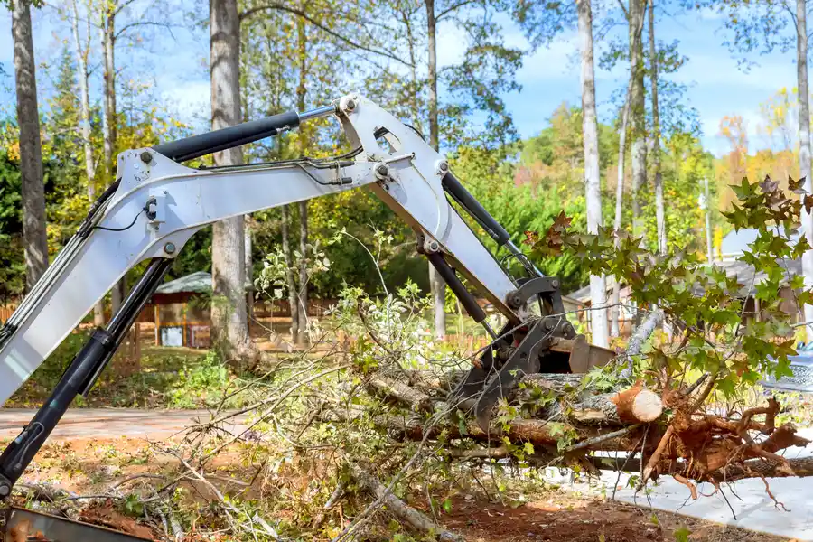 Premium Land Clearing Alvin, TX