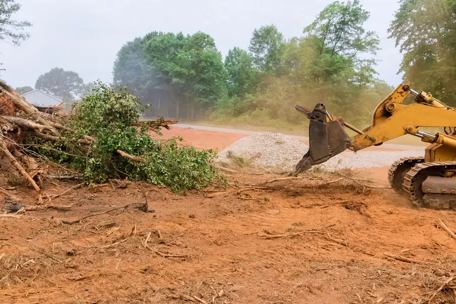 Top-rated Land Clearing Alvin, TX